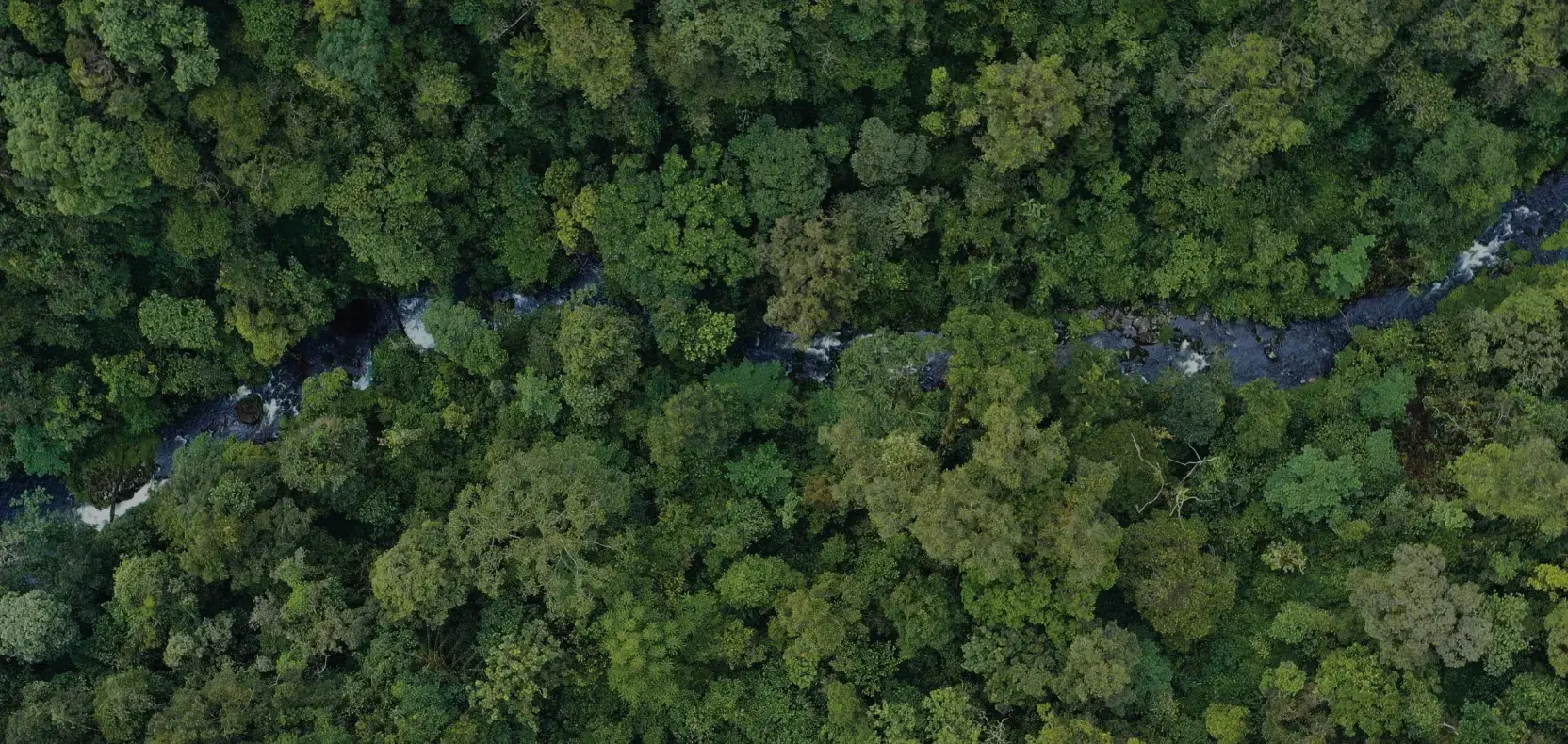 Kementerian Kehutanan